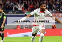 上一届世界杯冠军(上一届世界杯冠军是)