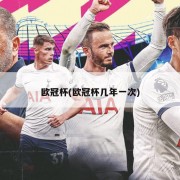 欧冠杯(欧冠杯几年一次)