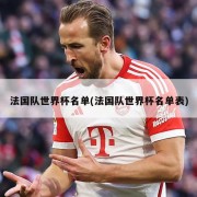 法国队世界杯名单(法国队世界杯名单表)