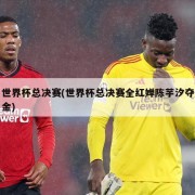 世界杯总决赛(世界杯总决赛全红婵陈芋汐夺金)