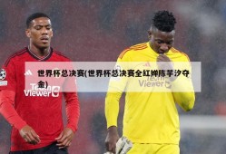 世界杯总决赛(世界杯总决赛全红婵陈芋汐夺金)