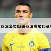 蒂亚戈席尔瓦(蒂亚戈席尔瓦图片)