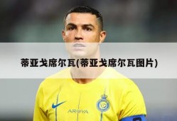 蒂亚戈席尔瓦(蒂亚戈席尔瓦图片)