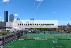 沙弗里克兰多夫(沙弗里克兰多夫被换掉)