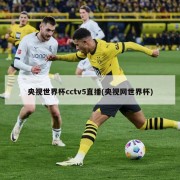 央视世界杯cctv5直播(央视网世界杯)