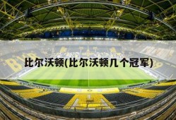 比尔沃顿(比尔沃顿几个冠军)