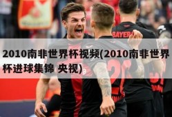 2010南非世界杯视频(2010南非世界杯进球集锦 央视)