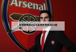 足球世界杯2023(足球世界杯2023冠军)