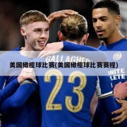 美国橄榄球比赛(美国橄榄球比赛赛程)