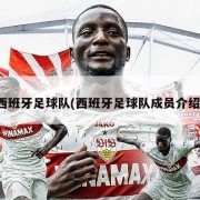 西班牙足球队(西班牙足球队成员介绍)