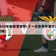 2010年南非世界杯(下一次世界杯是什么时候)