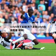 cctv5天下足球(天下足球cctv5在线直播 视频)