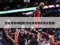 羽毛球发球规则(羽毛球发球区域示意图)