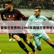 英格兰世界杯(1966年英格兰世界杯)