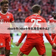 nba小牛(nba小牛队现在叫什么)