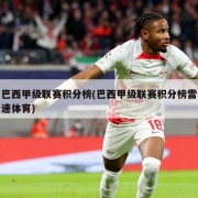 巴西甲级联赛积分榜(巴西甲级联赛积分榜雷速体育)