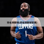 羽毛球假球(羽毛球假球禁赛)