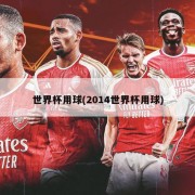 世界杯用球(2014世界杯用球)