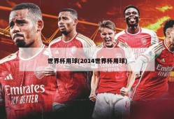 世界杯用球(2014世界杯用球)