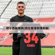 切尔西新球衣(切尔西球衣球员版)