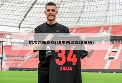 切尔西新球衣(切尔西球衣球员版)