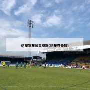 伊布宣布加盟曼联(伊布在曼联)