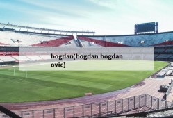 bogdan(bogdan bogdanovic)