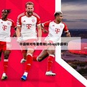华盛顿对布里奇斯(nbapj华盛顿)