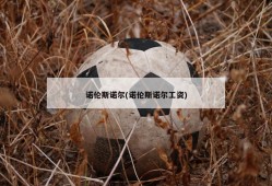 诺伦斯诺尔(诺伦斯诺尔工资)