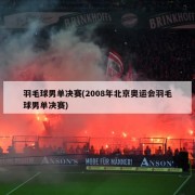 羽毛球男单决赛(2008年北京奥运会羽毛球男单决赛)