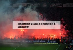 羽毛球男单决赛(2008年北京奥运会羽毛球男单决赛)