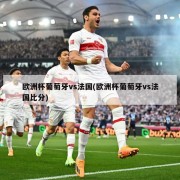 欧洲杯葡萄牙vs法国(欧洲杯葡萄牙vs法国比分)