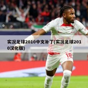 实况足球2010中文补丁(实况足球2010汉化版)