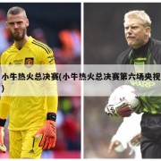 小牛热火总决赛(小牛热火总决赛第六场央视)