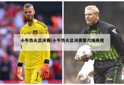 小牛热火总决赛(小牛热火总决赛第六场央视)