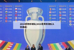 2018世界杯球队(2018世界杯球队入住酒店)