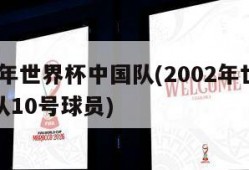 2002年世界杯中国队(2002年世界杯中国队10号球员)