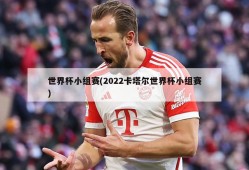 世界杯小组赛(2022卡塔尔世界杯小组赛)