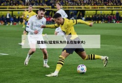 猛龙队(猛龙队为什么在加拿大)