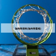 加内特资料(加内特是啥)
