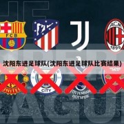 沈阳东进足球队(沈阳东进足球队比赛结果)