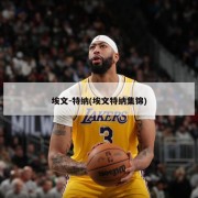 埃文-特纳(埃文特纳集锦)