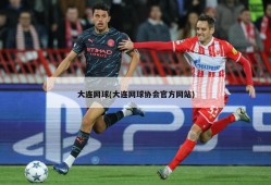 大连网球(大连网球协会官方网站)