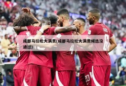 成都马拉松大满贯(成都马拉松大满贯候选没通过)