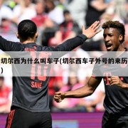 切尔西为什么叫车子(切尔西车子外号的来历)