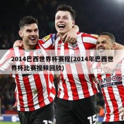 2014巴西世界杯赛程(2014年巴西世界杯比赛视频回放)