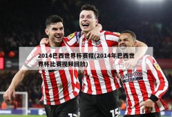 2014巴西世界杯赛程(2014年巴西世界杯比赛视频回放)