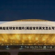 英超足球宝贝图片(英超宝贝英文怎么写)