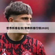 世界杯排名榜(世界杯排行榜2020)