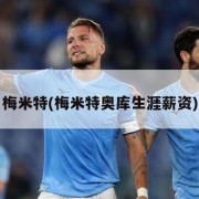 梅米特(梅米特奥库生涯薪资)